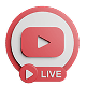 YouTube Live Stream SMM Panel